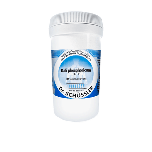 SCHÜSSLER MINERAL TISSUE SALTS N°6 Kali phosphoricum NO.6-125 12X