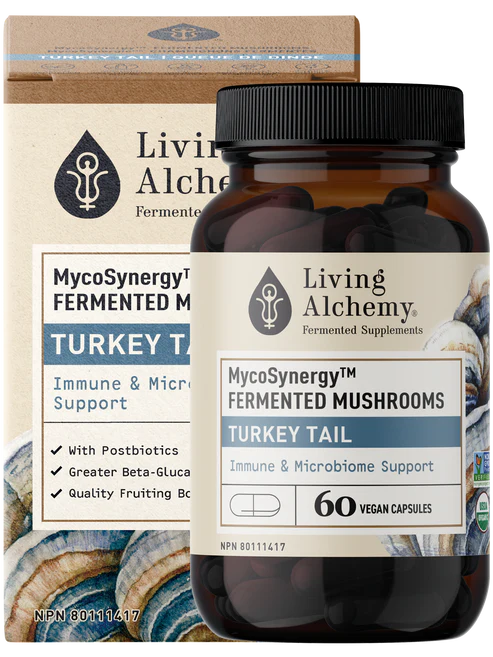 Living Alchemy - MycoSynergy Turkey Tail, 60 Capsules