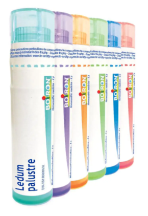 Ledum palustre  10 M