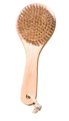 Midnight Paloma   Body Dry Brush