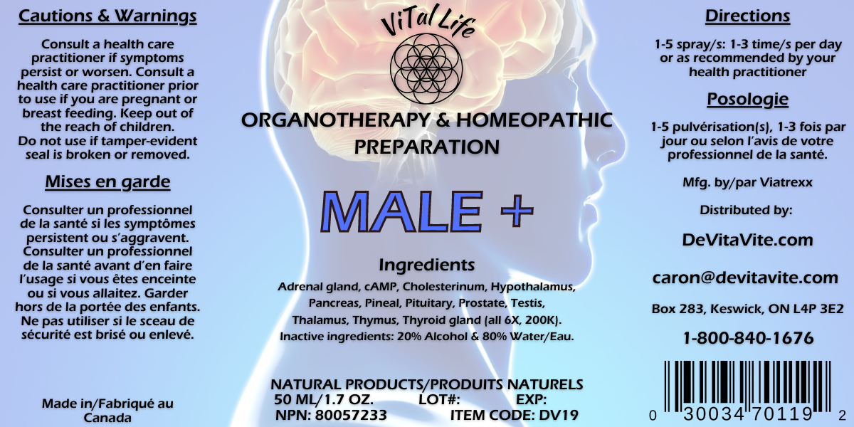 Vital Life - Male+ - 50ml