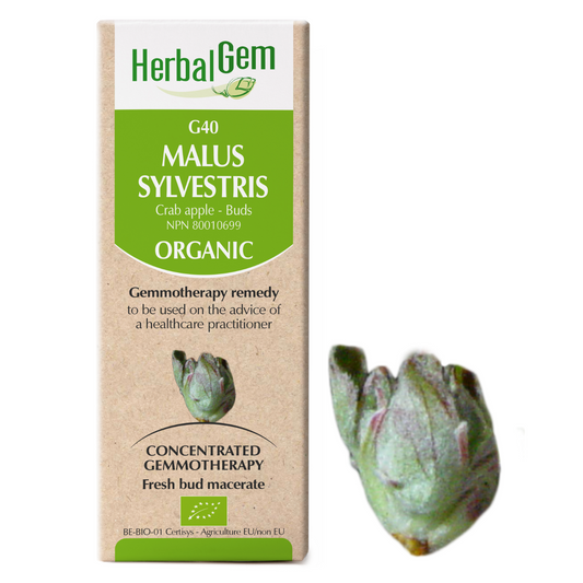 HerbalGem - Malus sylvestris - 30 ml