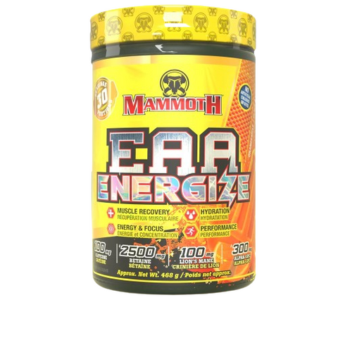 Mammoth   Mammoth EAA Energize Orangesicle 30 serve