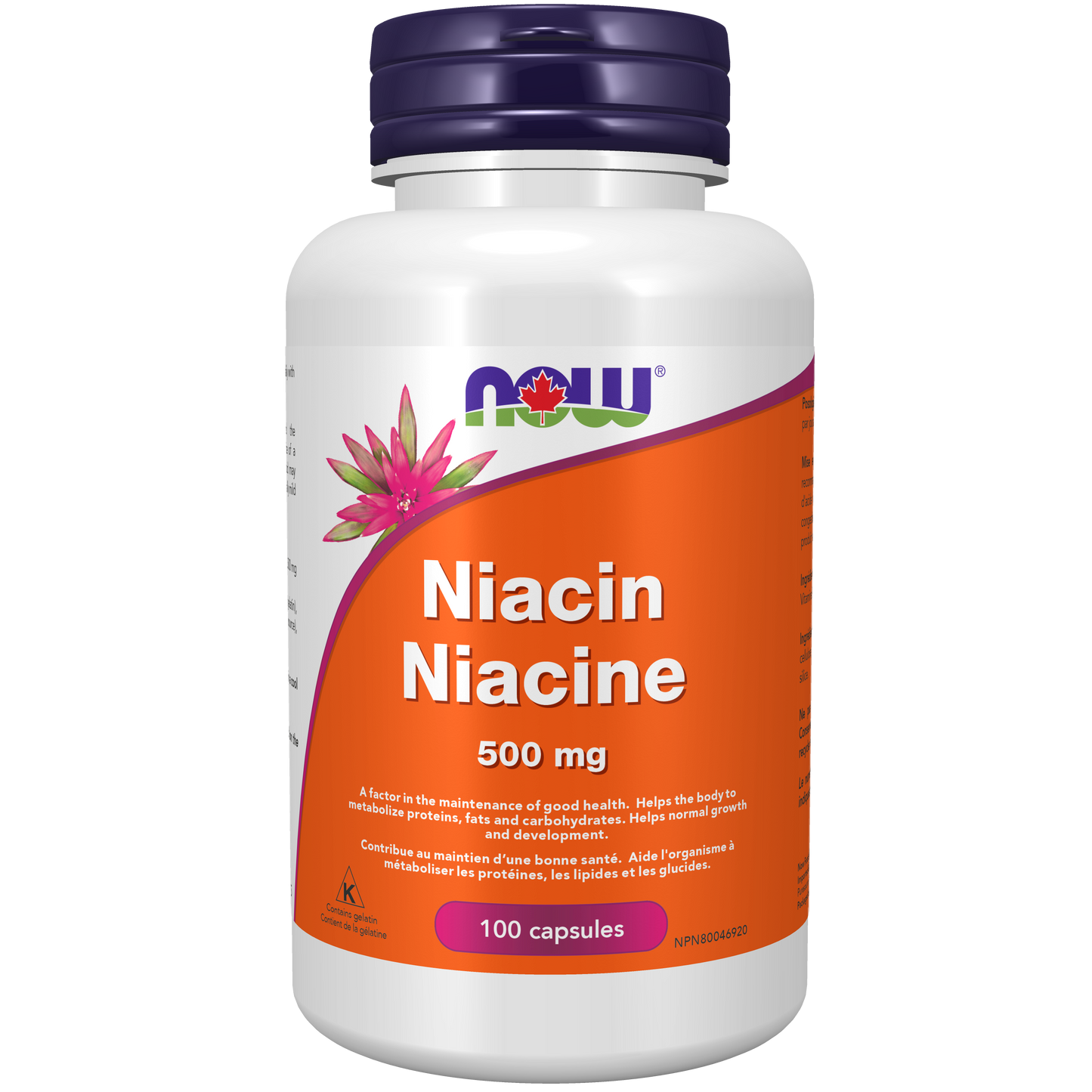 NOW    Niacin 500mg 100cap