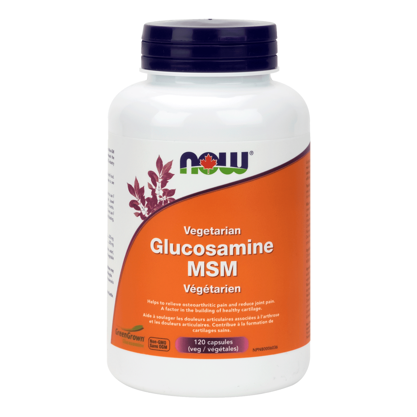 NOW    Vegetarian Glucosamine & MSM (500 / 333) 120vcap