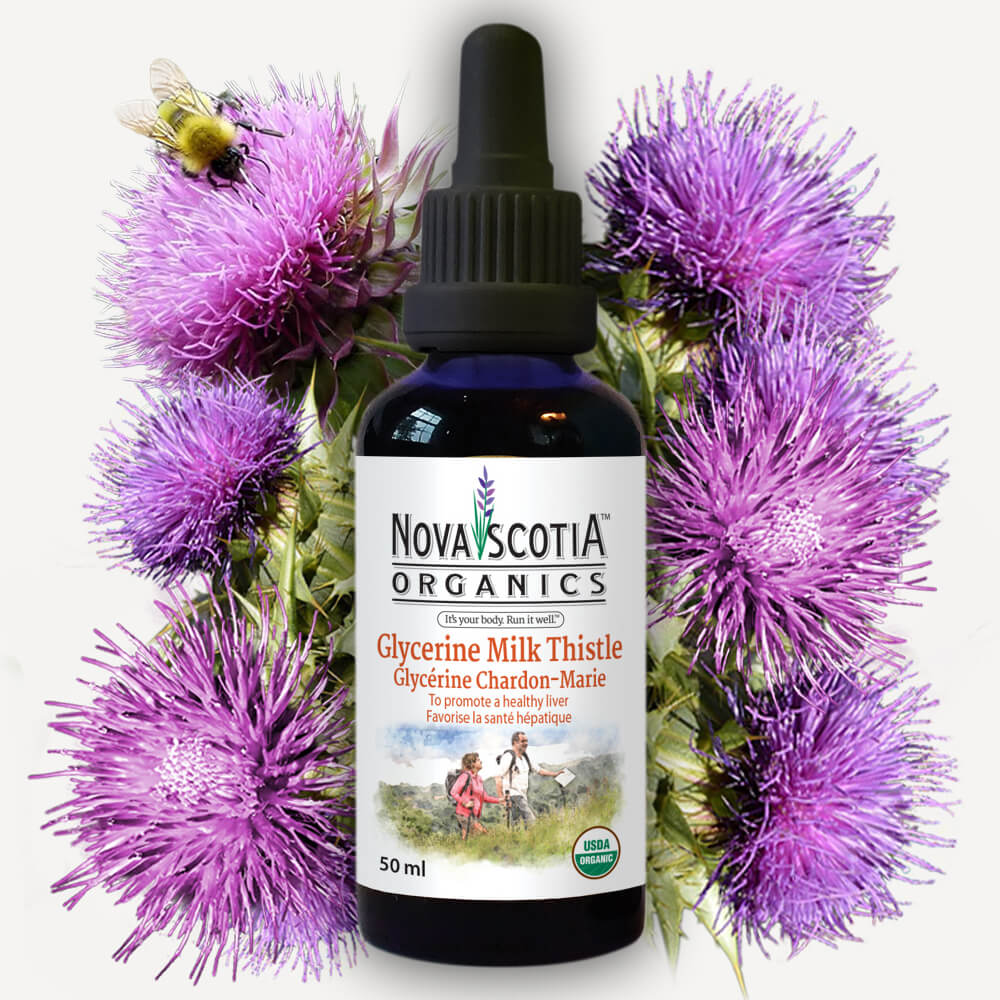 NOVA Organics - Milk Thistle Glycerin - 50 ml
