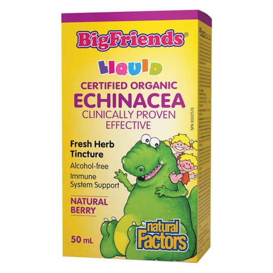 Natural Factors   Echinacea Fresh Herb Tincture, Alcohol-free, Big Friends   50 mL liquidliquid
