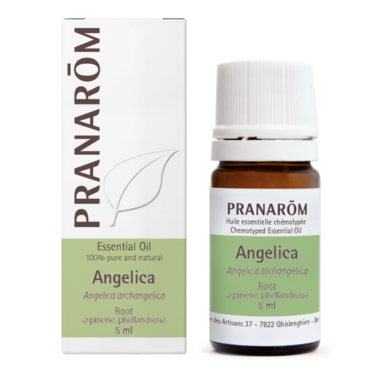 Pranarom - Angelica - root - 5 ml