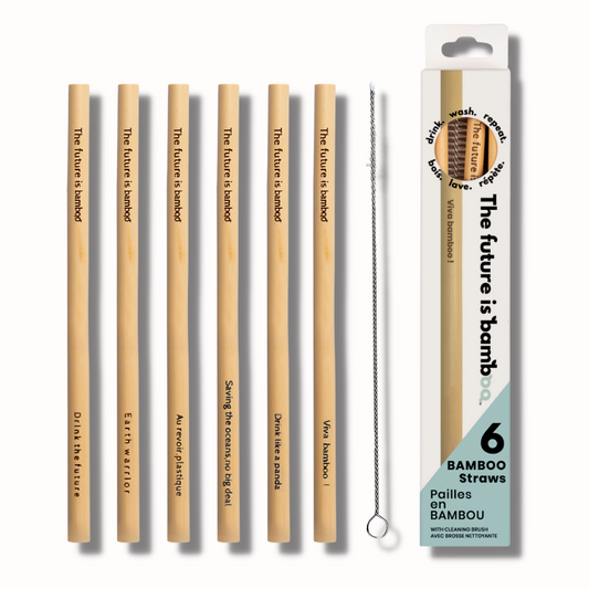 FUTURE IS BAMBOO   Bamboo Straws 6/pk