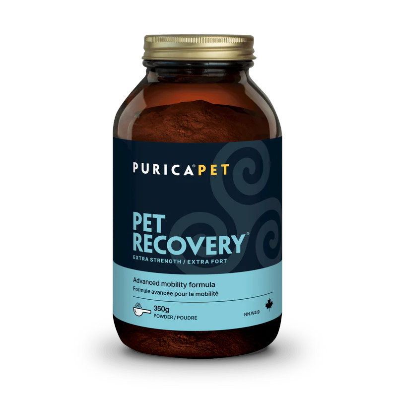 PURICA   NEW! Pet Recovery 350g x-strength