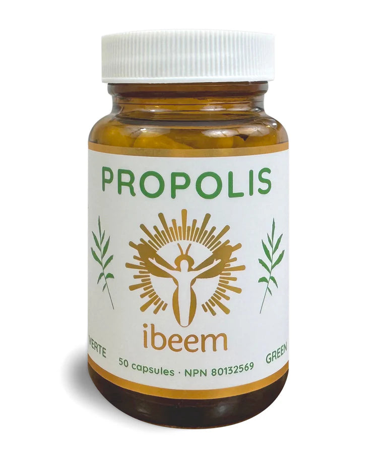 IBEEM    Green Propolis from Baccharis Dracunculifolia, 50 Capsules