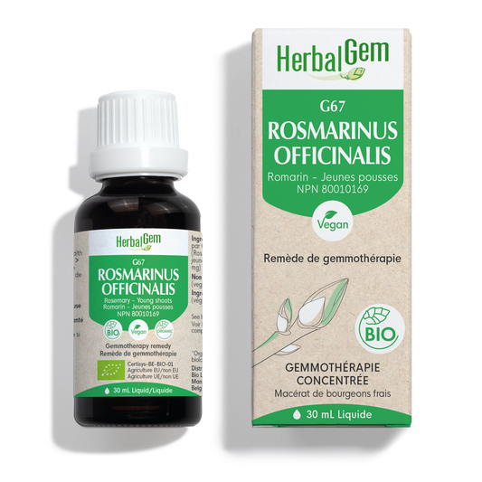 HerbalGem - Rosmarinus officinalis - 30 ml