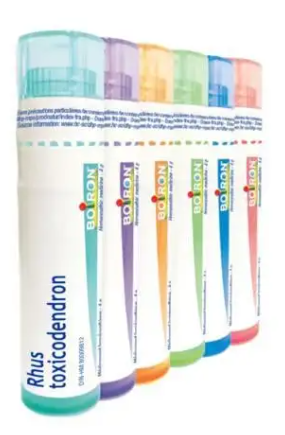 Rhus toxicodendron  6 CH