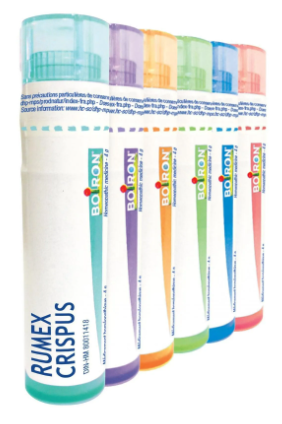 Rumex Crispus  12 CH