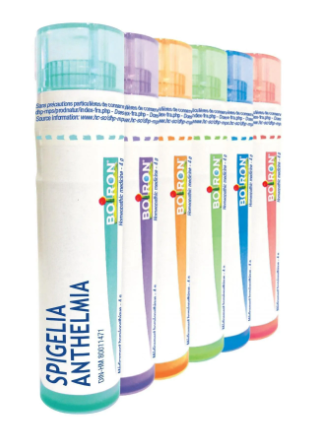 Spigelia Anthelmia  1 M