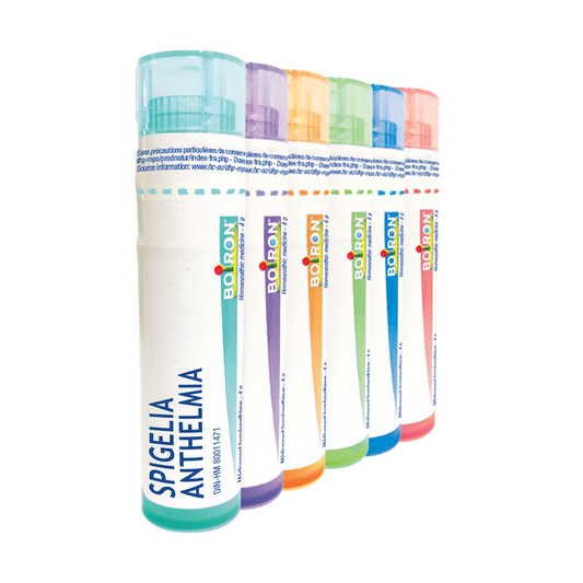 Spigelia Anthelmia  6 CH