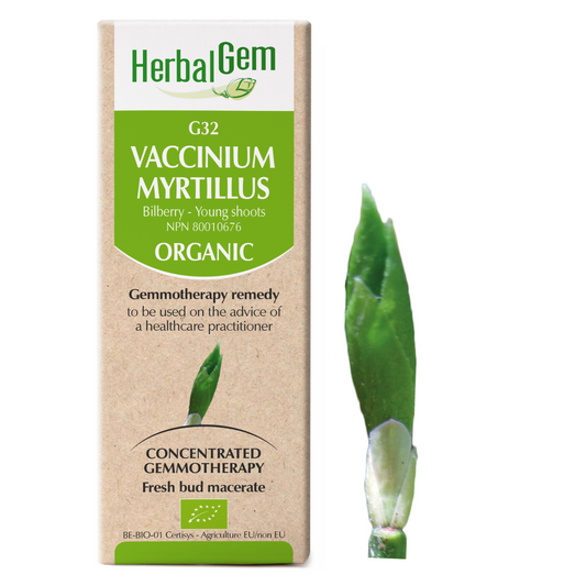 HerbalGem - Vaccinium myrtillus - 30 ml