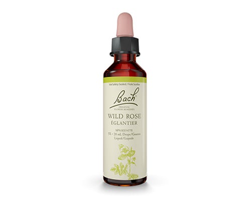 BACH    Wild Rose 20mL