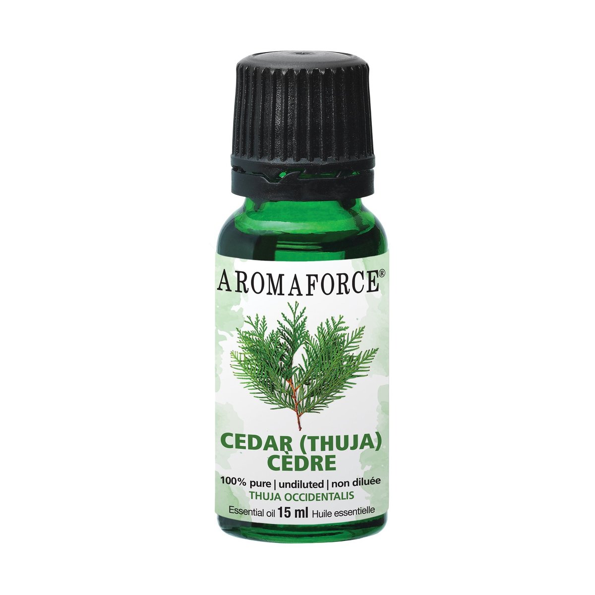 AROMAFORCE - CEDAR LEAF - 15 ML