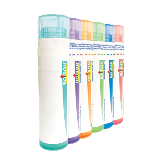 THERIDION 12DH/EXP05/2027