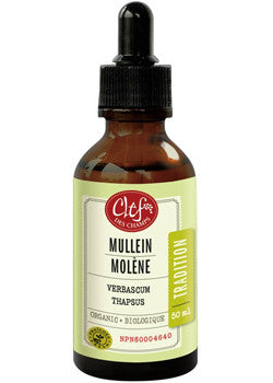 MULLEIN Tincture organic    100 ML