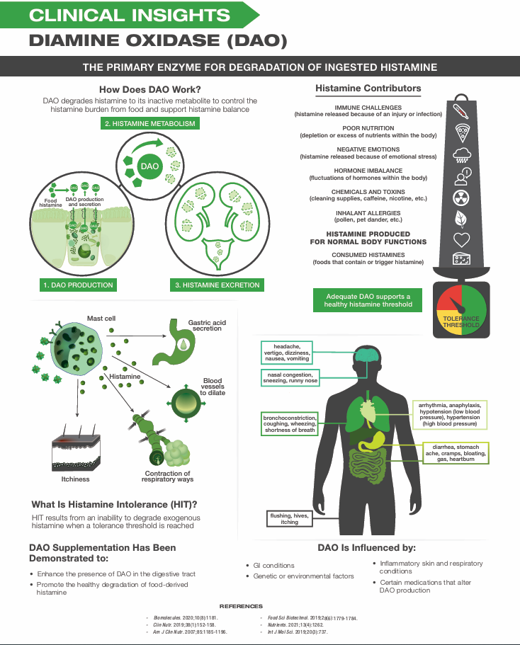 Xymogen - HistDAO - 60tabs