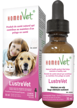 HOMEOVET CATS & DOGS    LustreVet    30 ml
