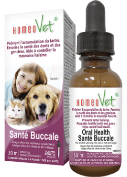 HOMEOVET CATS & DOGS    Oral Health    30 ml