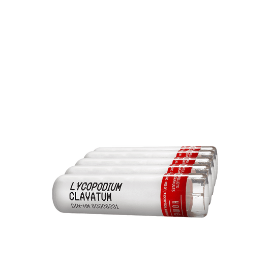 LYCOPODIUM