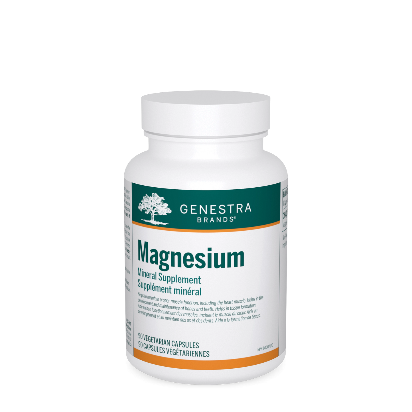 GENESTRA_Magnesium _90 caps 