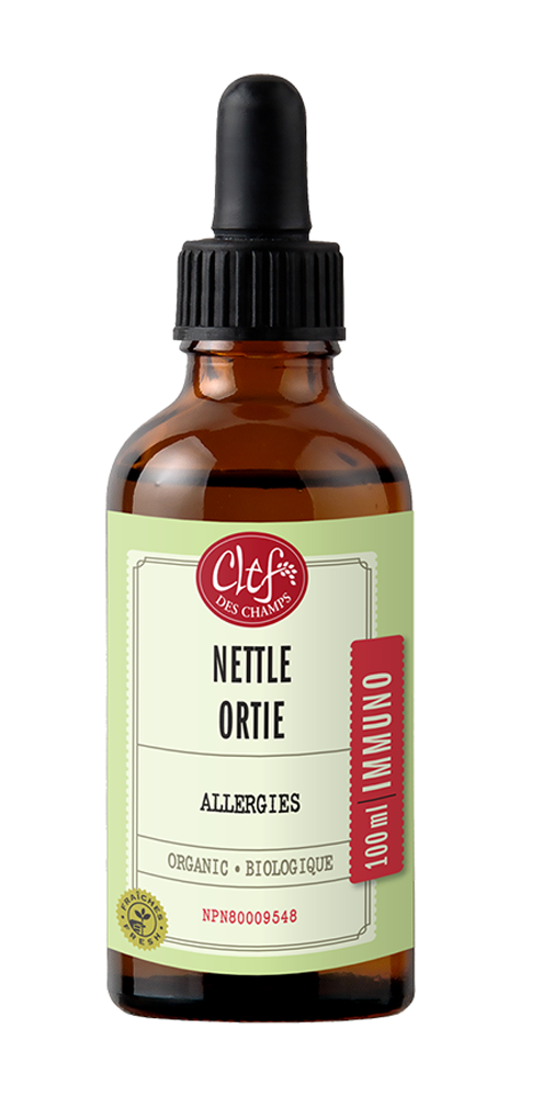 NETTLE Tincture organic    100 ML