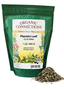 OCBULK - Plantain Leaf C/S ORG 1LB