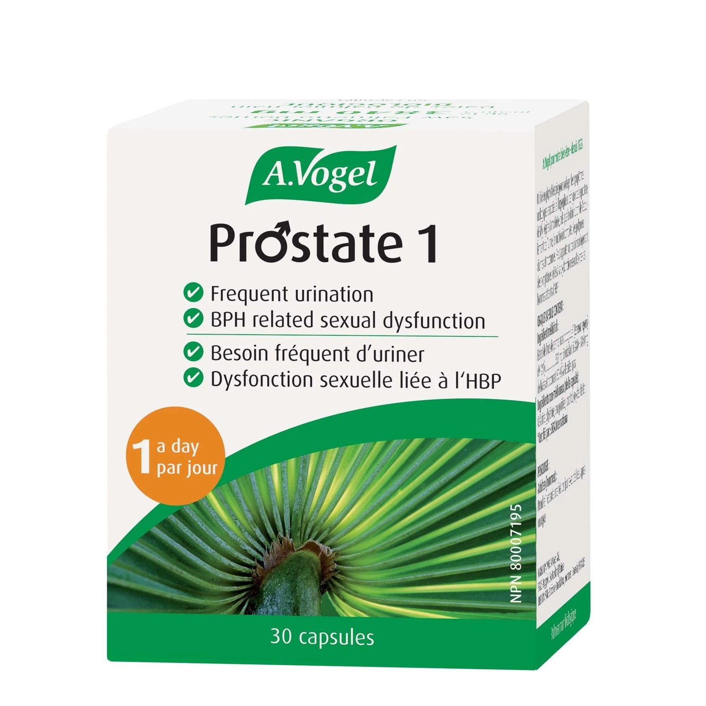 A. Vogel-PROSTATE 1  - 60 CAPS