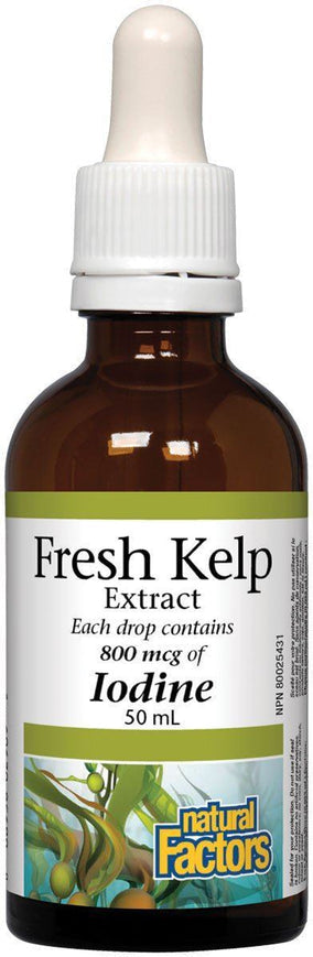 Natural Factors   Fresh Kelp Extract   50 mL liquidliquid
