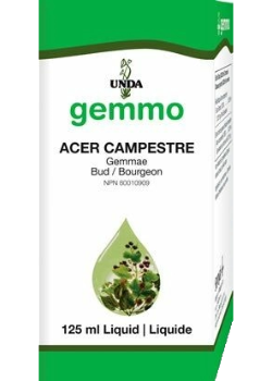 UNDA _Acer campestre _125 mL 