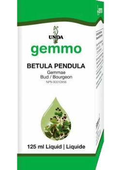 UNDA _Betula pendula (bud) _125 mL