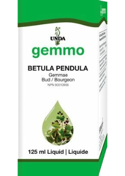 UNDA    Betula pendula (bud)     125 mLÂ