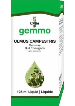 UNDA _Ulmus campestris _125 mL 