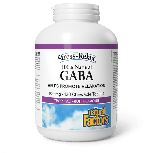 Natural Factors   100% Natural GABA 100 mg, Tropical Fruit Flavour, Stress-Relax®   120 chewschews