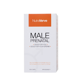 Male Prenatal